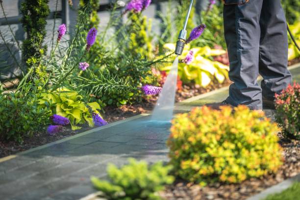 Best Residential Pressure Washing in Park Falls, WI