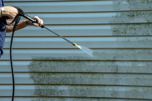 Best Brick and Stone Cleaning in Park Falls, WI