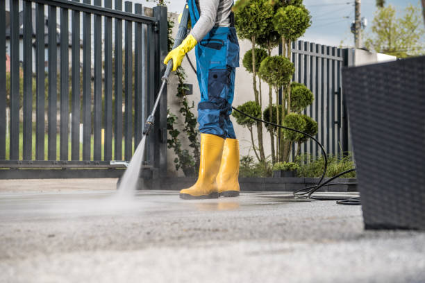 Best Vinyl Siding Pressure Washing in Park Falls, WI