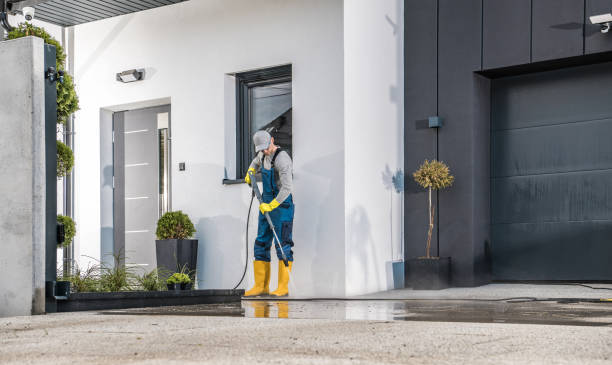 Best Soft Washing for Delicate Surfaces in Park Falls, WI
